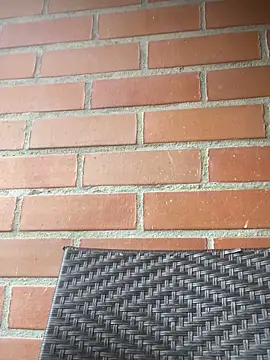 star anastasia online show from October 16, 11:46 am