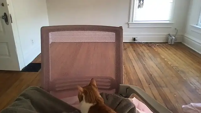 loveofbea online show from March 4, 10:05 pm