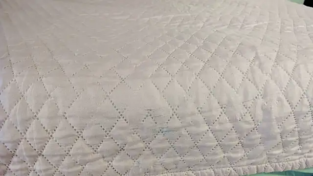 Sophia Lemos online show from February 14, 2:08 pm