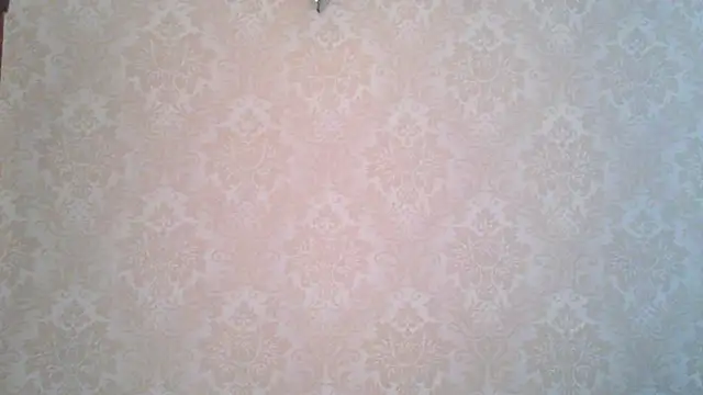 Kashtanka  online show from November 4, 8:52 am