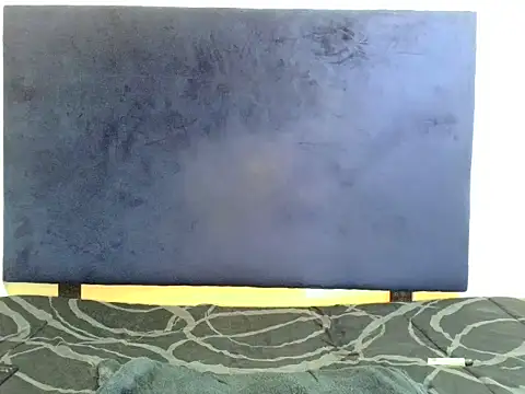 ReginaStar16 online show from November 13, 8:41 pm