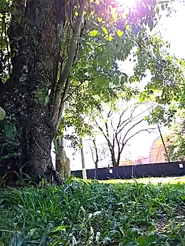 giselxxx hot online show from November 18, 6:31 pm