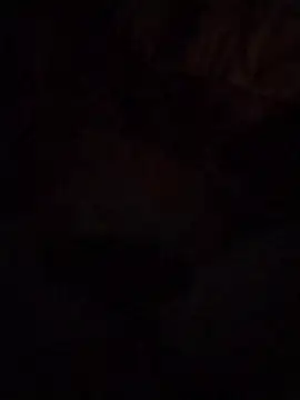 Work4Crypto online show from March 21, 4:28 am