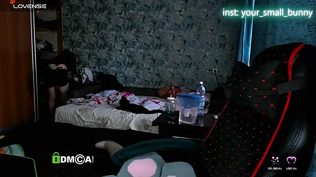 Your small bunny online show from November 29, 5:00 am