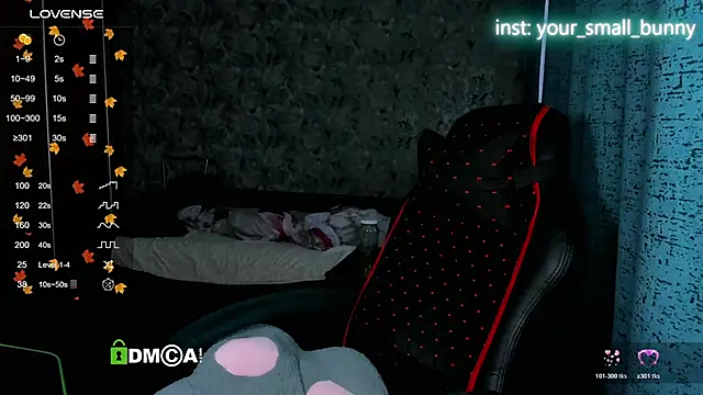 Your small bunny online show from November 15, 2:01 am