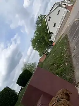 EllaSnow online show from April 15, 8:20 pm