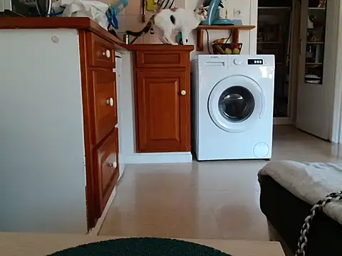 Lauzo21 online show from September 18, 10:03 am