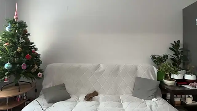 jainesummer online show from December 23, 8:40 am