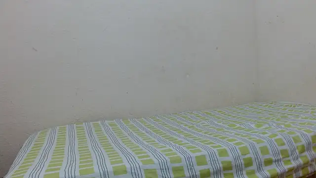 Evanhotx online show from January 6, 8:45 pm