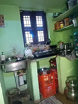 bhavanitelu online show from November 21, 3:30 am