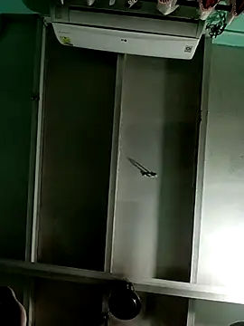 sunita-doll online show from April 11, 6:44 pm