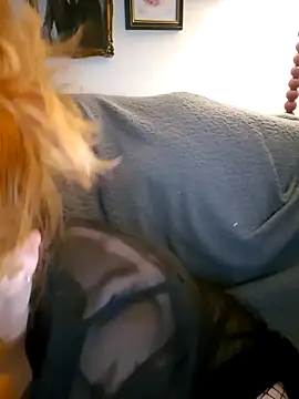 inky ginge online show from September 23, 7:56 pm