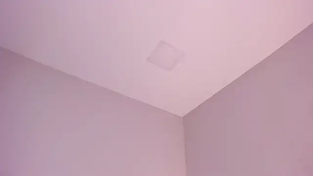 sara  jones gh online show from November 22, 5:15 pm