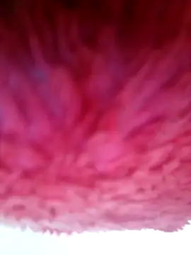 Samara-Bella online show from January 6, 5:22 am