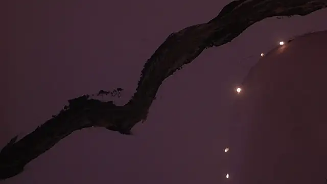 soidai miiu online show from September 24, 9:58 pm