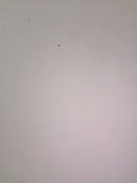 EmmaSulivan online show from February 21, 11:11 am