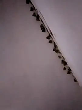 Ehilyn online show from October 4, 10:36 pm