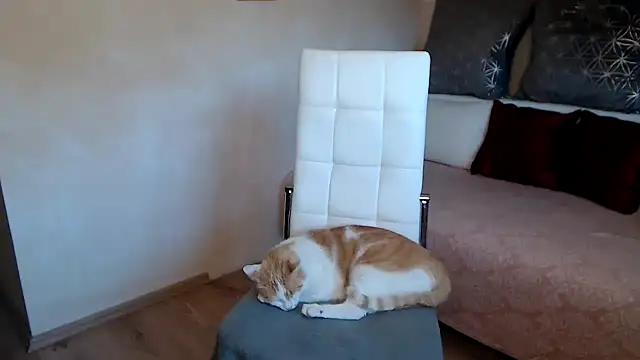 Kathylovexxx online show from October 1, 5:34 am