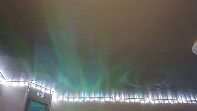 mavismable online show from February 3, 6:22 am