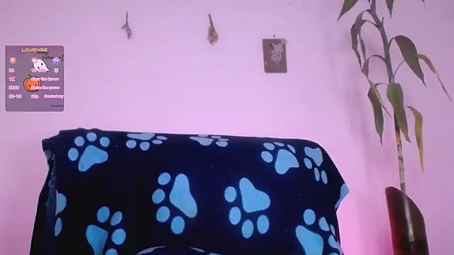 Nocturnawitch online show from October 3, 2:44 pm