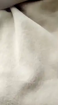 YiingandYang online show from February 10, 6:11 pm