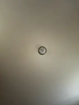 curis4270panda online show from October 20, 8:45 pm