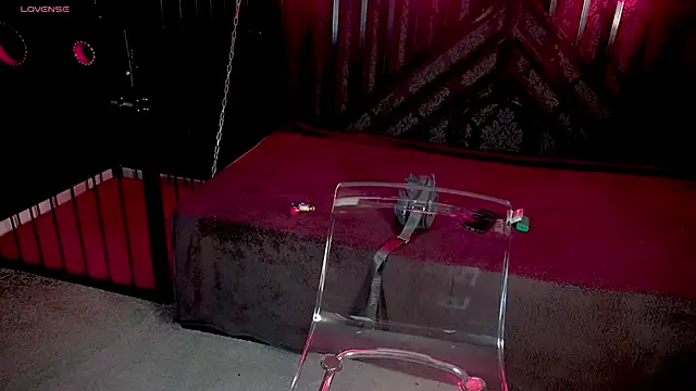 LiviaShy online show from December 2, 2:41 pm