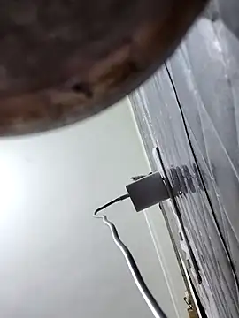 papukurty online show from April 13, 8:37 am