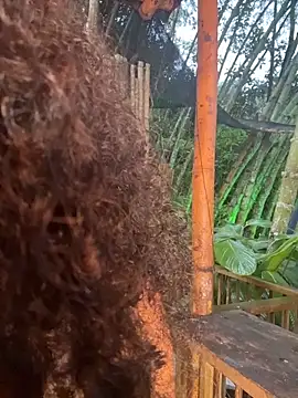 Rose-andres online show from February 1, 10:52 pm