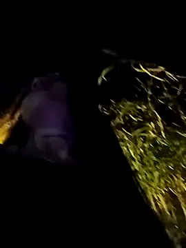 Arii collins1 online show from September 28, 2:18 am