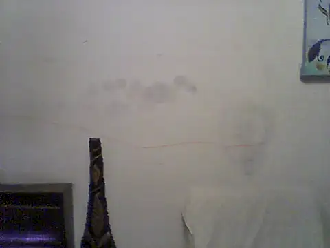 Bebita-zmp online show from June 21, 12:58 am