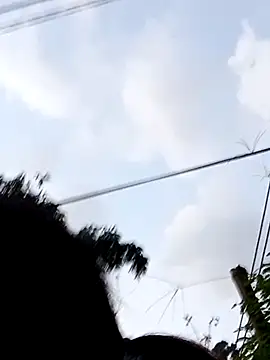 maple694 online show from September 21, 11:09 am