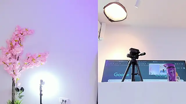 maily zanss online show from January 31, 7:45 pm