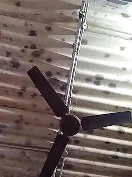 Tamil Amul online show from December 16, 1:00 am