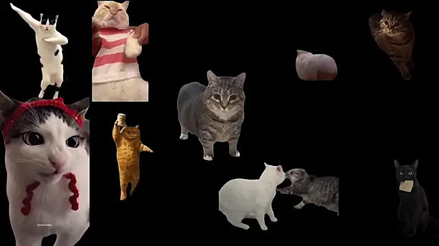 ch0wn m online show from September 17, 11:08 am