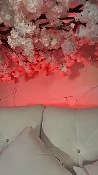 jesse veraa  online show from February 11, 12:47 am