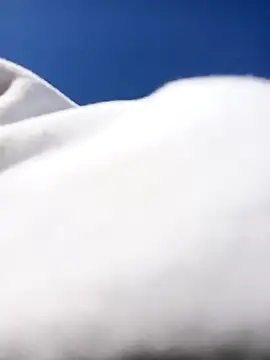 CandyFoxter  online show from January 15, 11:27 am