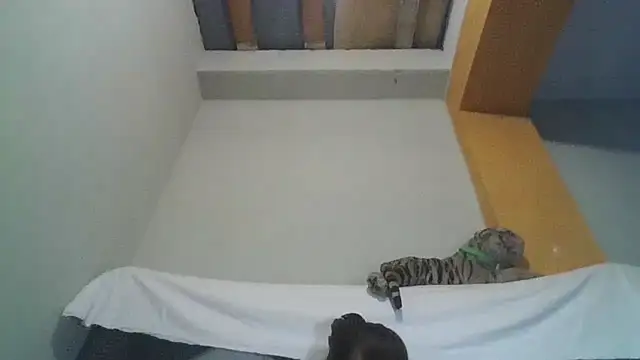 kelly15055 online show from March 23, 8:42 am