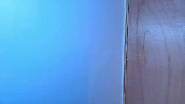 Terraelowen online show from February 15, 11:20 am