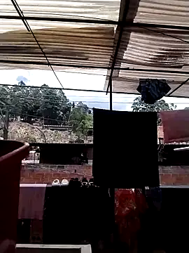 solpeich online show from April 4, 5:34 pm