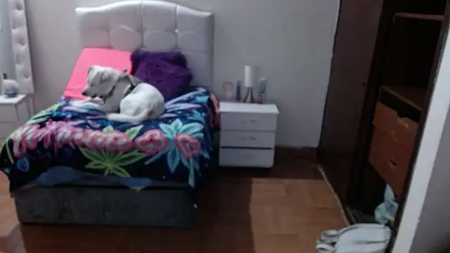 elapetitie online show from October 3, 4:39 am