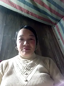 Bliss rose online show from November 3, 2:37 am