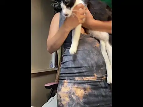 Kath C online show from January 14, 8:19 am