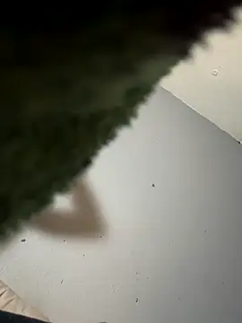 StoneyCam online show from November 4, 5:23 am