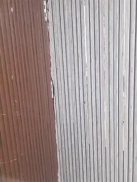 Ragini-Devi online show from October 13, 5:04 pm