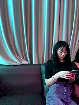 petoys online show from September 21, 11:09 am