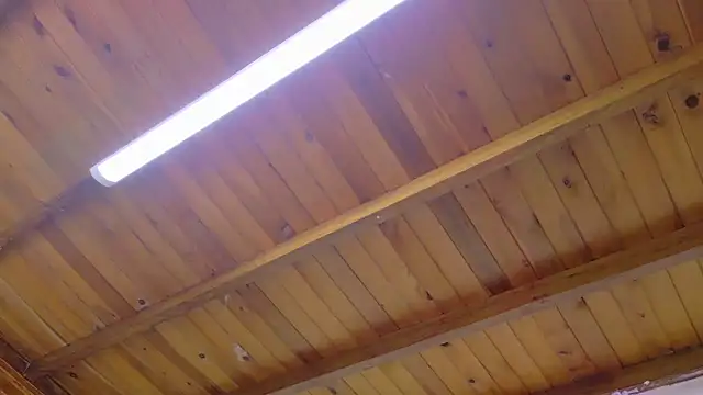 Lizbeth Rouse online show from January 13, 10:41 am