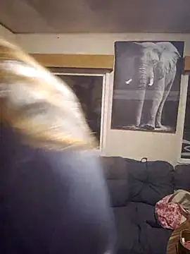 Misspapillon1840 online show from November 5, 5:51 pm