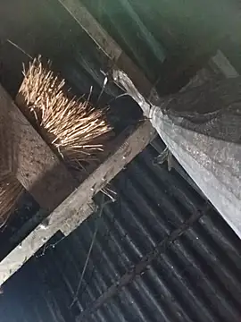  Helala  online show from October 17, 11:08 pm