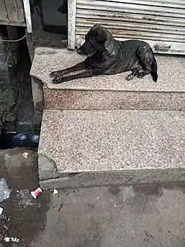 Hot modal online show from October 4, 3:01 am